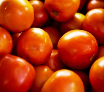 Tomate médio Kg